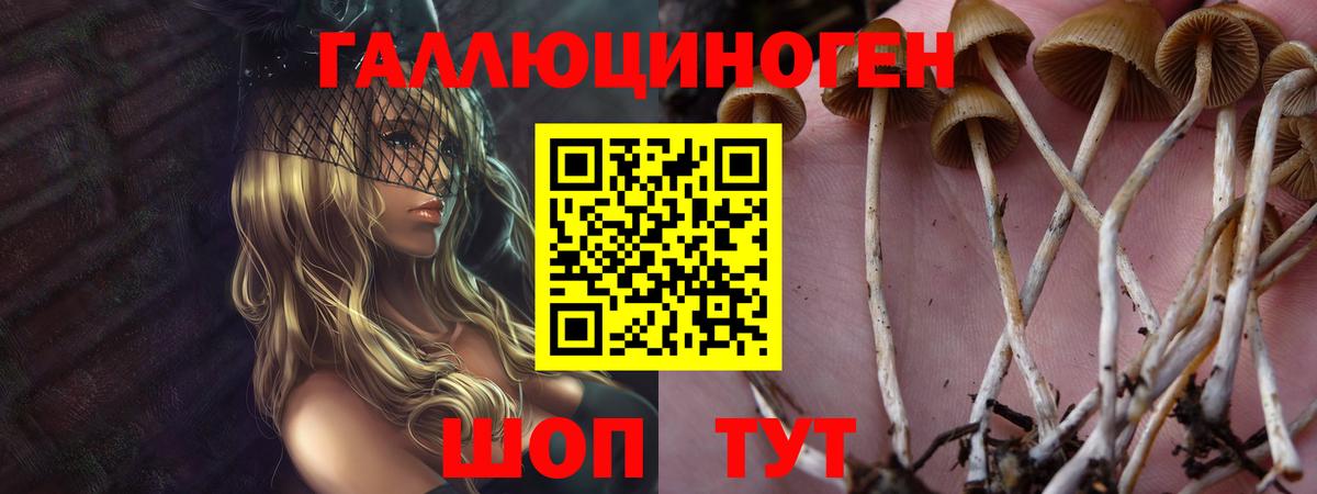Трёхгорный  Псилоцибиновые грибы Magic Shrooms  Вход с VPN 