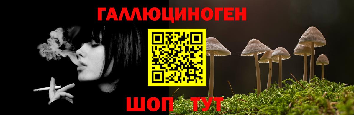 Псилоцибиновые грибы Magic Shrooms Трёхгорный